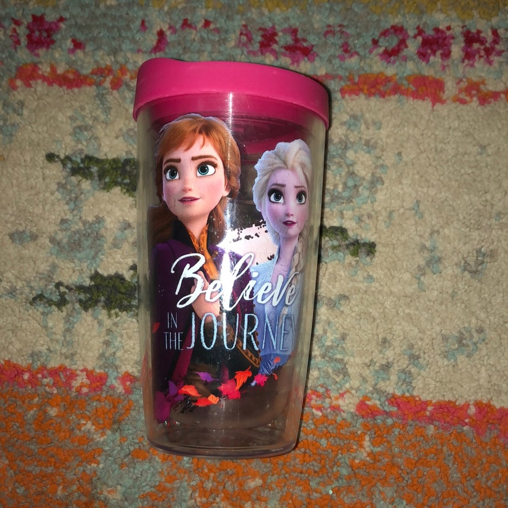 Tervis tumbler Disney frozen Elsa Anna